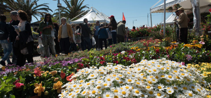 FlorPoesia alla Mostra del Fiore Florviva 2018