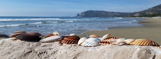“La canzone del mare” di Luigi Perroni